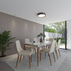 Conjunto de 6 Cadeiras de Madeira Maciça Loren - Província - 