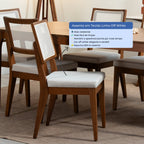 Conjunto de 8 Cadeiras de Madeira Maciça Saga Palhinha - Província - 