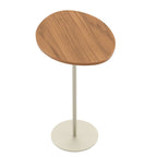 Kit 2 Mesas Laterais Decorativas Botanic Canella com Champanhe - Província - Mesas Laterais