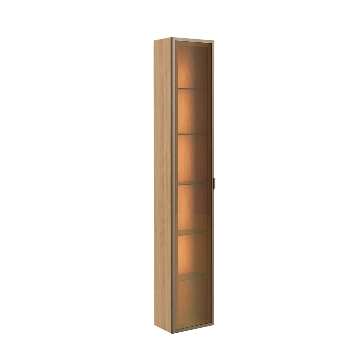 Módulo Cristaleira 1 Porta com Vidro Reflecta para Painel Neon Float - Província - Painel para TV